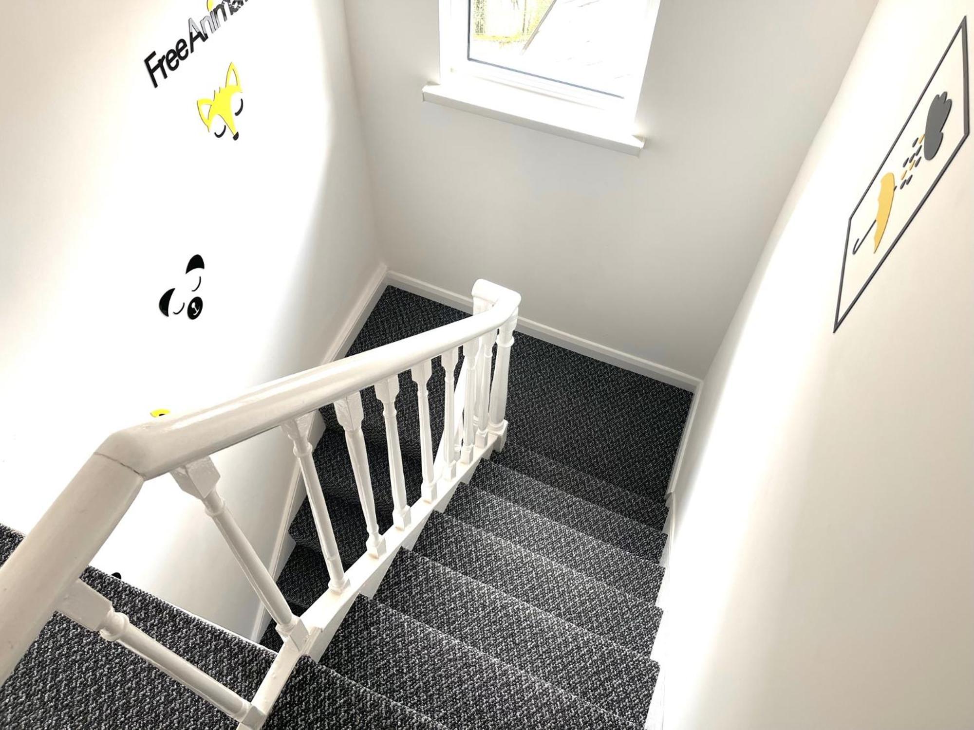 Entire Yellowapt Near Belfast City Centre - Free Parking - Up To 3 Guests - 2 Beds 외부 사진